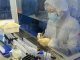 Russia a enregistrat lo primièr vaccin contra la covid-19 malgrat lo scepticisme internacional